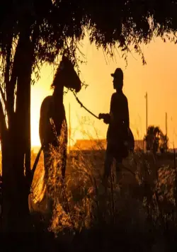 Положитесь на Пита (2017) смотреть онлайн Положитесь на Пита (2017) фильм смотреть онлайн