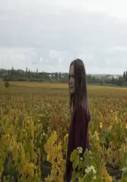 Возвращение в Бургундию (2016) смотреть онлайн Возвращение в Бургундию (2016) фильм смотреть онлайн