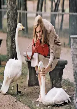 Брюстер МакКлауд (1970) смотреть онлайн бесплатно Брюстер МакКлауд (1970) фильм смотреть онлайн бесплатно