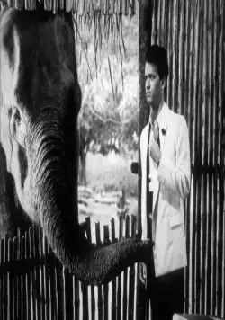 Волонтеры (1985) смотреть онлайн Волонтеры (1985) фильм смотреть онлайн