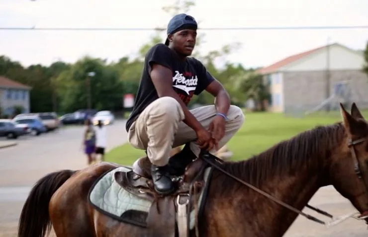 Округ Хейл утром и вечером (2018) смотреть онлайн Округ Хейл утром и вечером (2018) фильм смотреть онлайн