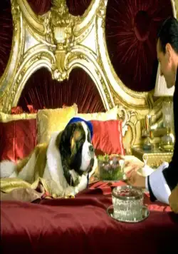 Бетховен 4 (2001) смотреть онлайн бесплатно Бетховен 4 (2001) фильм смотреть онлайн бесплатно