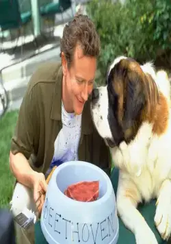 Бетховен 4 (2001) в хорошем качестве смотреть онлайн Бетховен 4 (2001) фильм в хорошем качестве смотреть онлайн