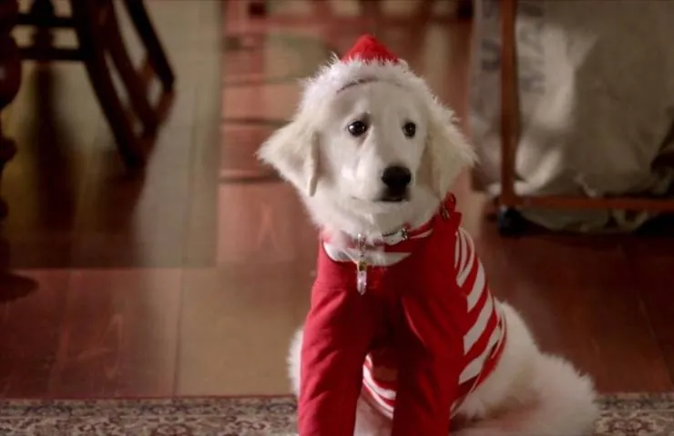 Рождественская пятерка (2009) в хорошем качестве смотреть онлайн Рождественская пятерка (2009) фильм в хорошем качестве смотреть онлайн