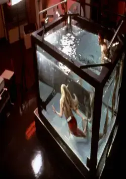 Всплеск (1984) смотреть онлайн Всплеск (1984) фильм смотреть онлайн