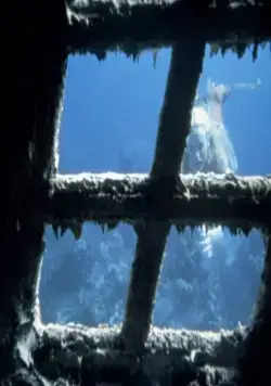 Всплеск (1984) в хорошем качестве смотреть онлайн Всплеск (1984) фильм в хорошем качестве смотреть онлайн