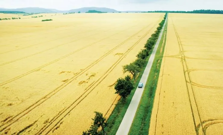 Гуд бай, Берлин! (2016) смотреть онлайн бесплатно Гуд бай, Берлин! (2016) фильм смотреть онлайн бесплатно