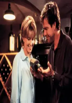 Ловушка для родителей (1998) в хорошем качестве смотреть онлайн Ловушка для родителей (1998) фильм в хорошем качестве смотреть онлайн