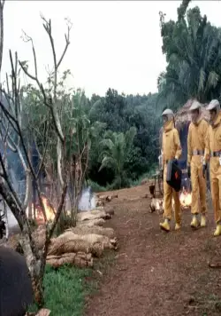 Эпидемия (1995) в хорошем качестве смотреть онлайн Эпидемия (1995) фильм в хорошем качестве смотреть онлайн