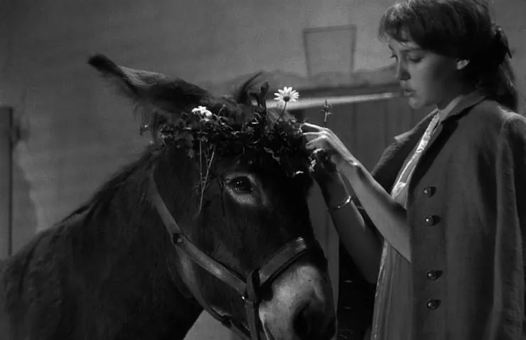 Наудачу, Бальтазар (1966) смотреть онлайн Наудачу, Бальтазар (1966) фильм смотреть онлайн