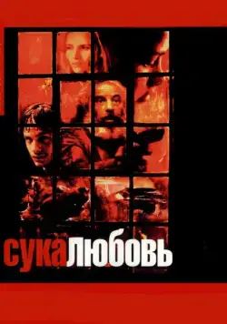 Сука-любовь / Amores perros (2000) фильм смотреть онлайн в хорошем качестве