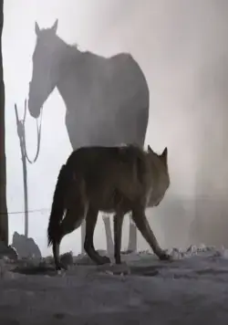 Старик (2012) в хорошем качестве смотреть онлайн Старик (2012) фильм в хорошем качестве смотреть онлайн