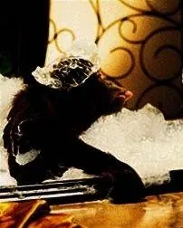 Появляется Данстон (1996) смотреть онлайн бесплатно Появляется Данстон (1996) фильм смотреть онлайн бесплатно