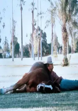 Ренегат (1987) смотреть онлайн бесплатно Ренегат (1987) фильм смотреть онлайн бесплатно