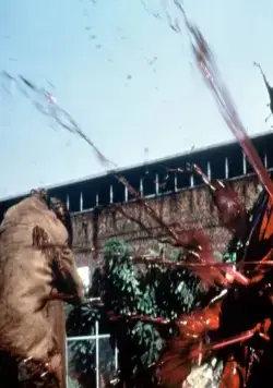 Уличный мусор (1986) смотреть онлайн Уличный мусор (1986) фильм смотреть онлайн