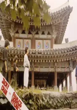 Бесстрашная гиена 2 (1980) в хорошем качестве смотреть онлайн Бесстрашная гиена 2 (1980) фильм в хорошем качестве смотреть онлайн