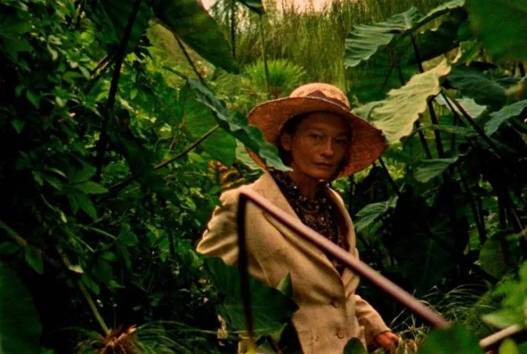 Дикие мальчишки (2017) смотреть онлайн Дикие мальчишки (2017) фильм смотреть онлайн