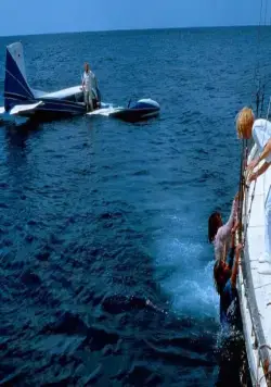 Челюсти 4: Месть (1987) смотреть онлайн бесплатно Челюсти 4: Месть (1987) фильм смотреть онлайн бесплатно