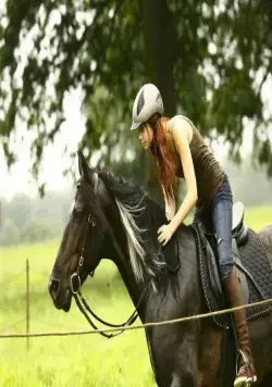 Восточный ветер (2013) смотреть онлайн Восточный ветер (2013) фильм смотреть онлайн