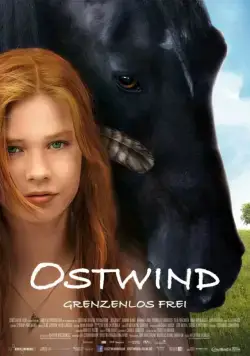 Восточный ветер / Ostwind (2013) фильм смотреть онлайн Восточный ветер / Ostwind (2013) фильм смотреть онлайн в хорошем качестве