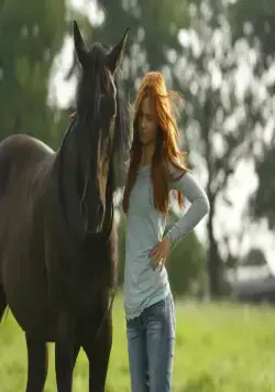 Восточный ветер (2013) в хорошем качестве смотреть онлайн Восточный ветер (2013) фильм в хорошем качестве смотреть онлайн