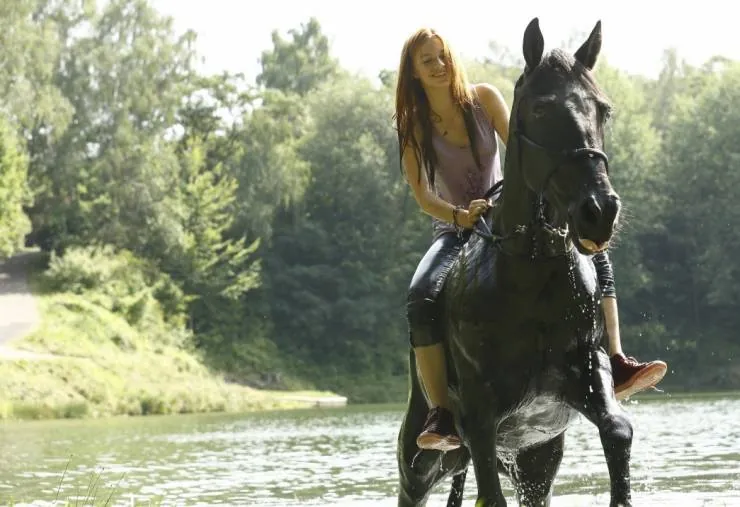 Восточный ветер (2013) смотреть онлайн бесплатно Восточный ветер (2013) фильм смотреть онлайн бесплатно