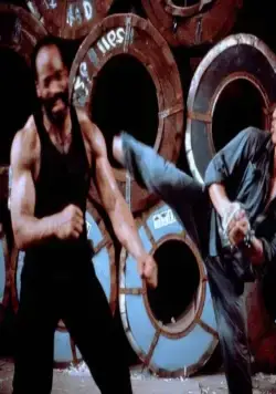 Клетка тигра 2 (1990) смотреть онлайн бесплатно Клетка тигра 2 (1990) фильм смотреть онлайн бесплатно