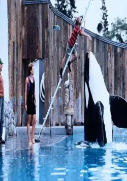 Освободите Вилли (1993) смотреть онлайн Освободите Вилли (1993) фильм смотреть онлайн