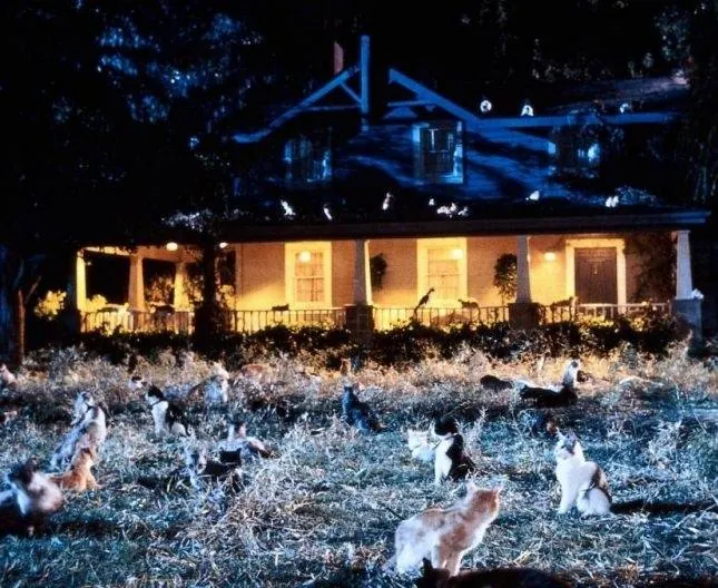 Лунатики (1992) смотреть онлайн бесплатно Лунатики (1992) фильм смотреть онлайн бесплатно