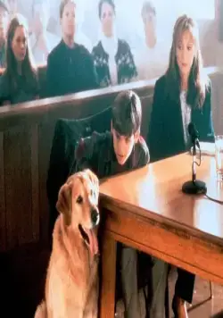 Король воздуха (1997) смотреть онлайн Король воздуха (1997) фильм смотреть онлайн