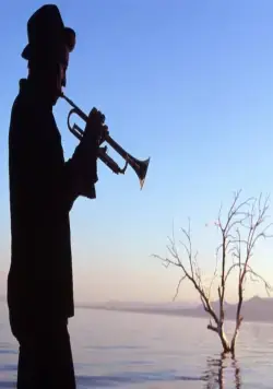 Море Солтона (2001) смотреть онлайн бесплатно Море Солтона (2001) фильм смотреть онлайн бесплатно