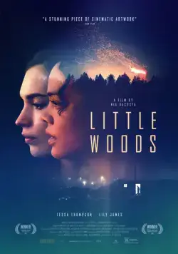 Лесок / Little Woods (2018) фильм смотреть онлайн в хорошем качестве