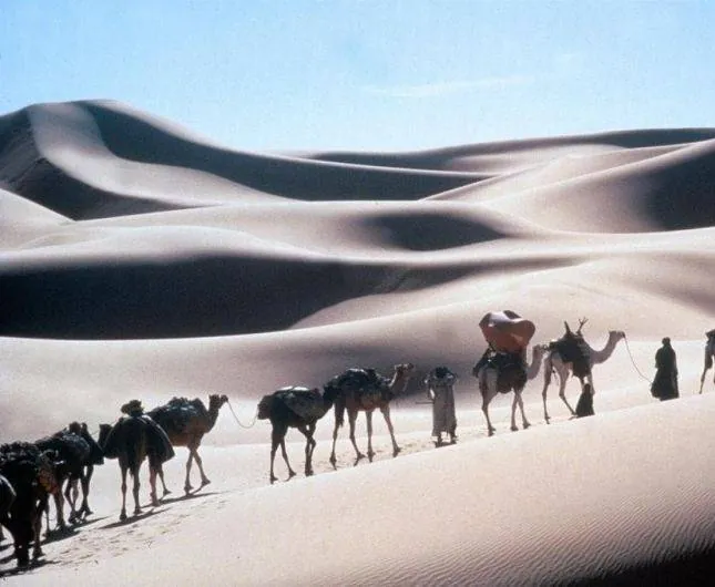 Под покровом небес (1990) смотреть онлайн Под покровом небес (1990) фильм смотреть онлайн