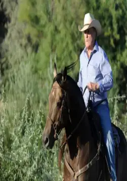 Дикие лошади (2014) смотреть онлайн Дикие лошади (2014) фильм смотреть онлайн