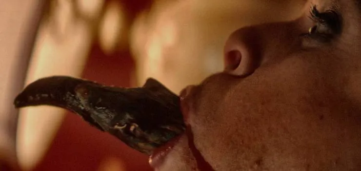 Чёрная комната (2017) смотреть онлайн бесплатно Чёрная комната (2017) фильм смотреть онлайн бесплатно