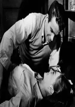 Великолепие в траве (1961) в хорошем качестве смотреть онлайн Великолепие в траве (1961) фильм в хорошем качестве смотреть онлайн