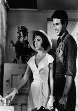 Великолепие в траве (1961) смотреть онлайн бесплатно Великолепие в траве (1961) фильм смотреть онлайн бесплатно