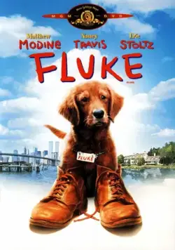 Флюк / Fluke (1995) фильм смотреть онлайн Флюк / Fluke (1995) фильм смотреть онлайн в хорошем качестве