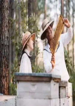 Тайная жизнь пчёл (2008) смотреть онлайн Тайная жизнь пчёл (2008) фильм смотреть онлайн