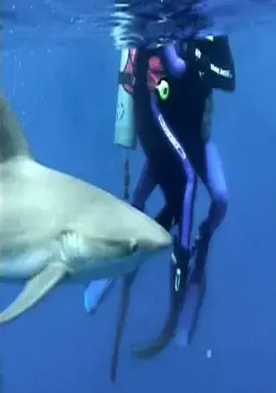 Открытое море (2003) смотреть онлайн Открытое море (2003) фильм смотреть онлайн