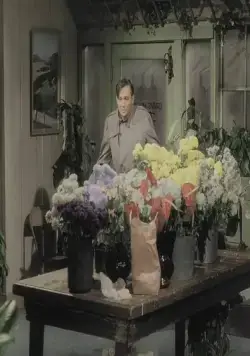 Магазинчик ужасов (1960) в хорошем качестве смотреть онлайн Магазинчик ужасов (1960) фильм в хорошем качестве смотреть онлайн