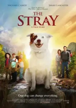 The Stray (2017) фильм смотреть онлайн The Stray (2017) фильм смотреть онлайн в хорошем качестве