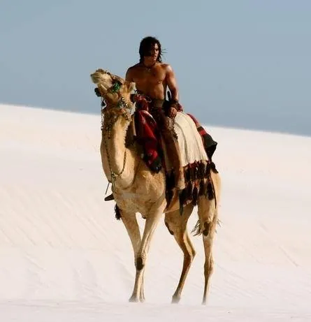 Царь скорпионов 2: Восхождение воина (2008) в хорошем качестве смотреть онлайн Царь скорпионов 2: Восхождение воина (2008) фильм в хорошем качестве смотреть онлайн