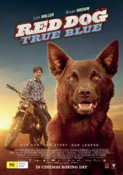 Рыжий пес: Самый верный / Red Dog: True Blue (2016) фильм смотреть онлайн в хорошем качестве