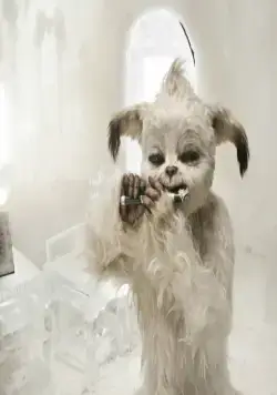 Йоко (2012) в хорошем качестве смотреть онлайн Йоко (2012) фильм в хорошем качестве смотреть онлайн