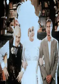 Сплошные неприятности (1991) смотреть онлайн бесплатно Сплошные неприятности (1991) фильм смотреть онлайн бесплатно