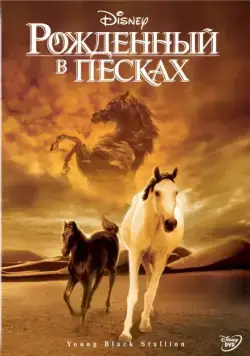 Рожденный в песках / The Young Black Stallion (2003) фильм смотреть онлайн Рожденный в песках / The Young Black Stallion (2003) фильм смотреть онлайн в хорошем качестве