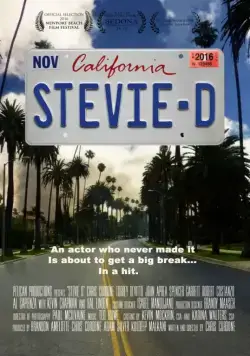 Стиви Ди / Stevie D (2016) фильм смотреть онлайн в хорошем качестве