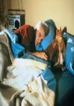 Одинокий парень (1984) в хорошем качестве смотреть онлайн Одинокий парень (1984) фильм в хорошем качестве смотреть онлайн