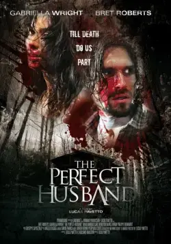 Идеальный муж / The Perfect Husband (2014) фильм смотреть онлайн в хорошем качестве